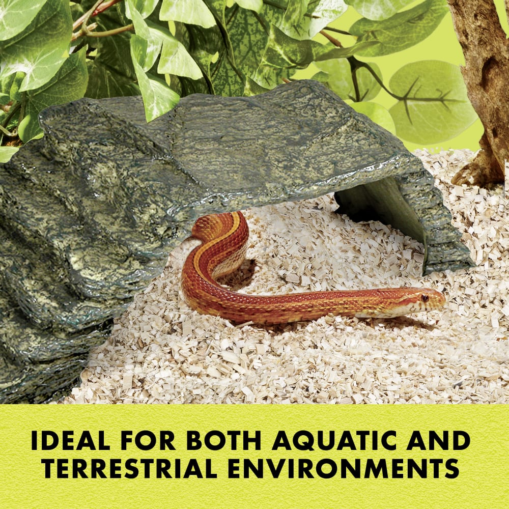 Ideal for both aquatic & terrestrial environments