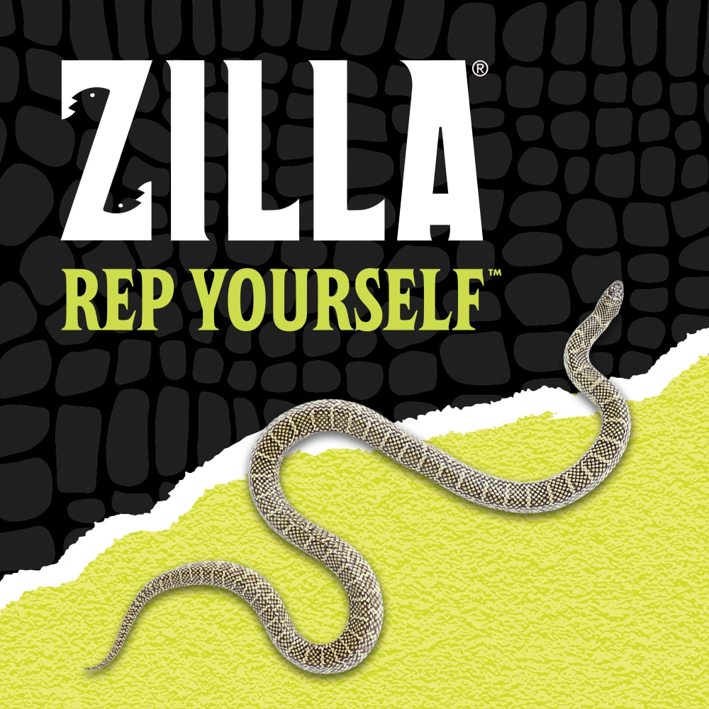 Zilla Rep Yourself with a snake over black scale background ripped halfway into green