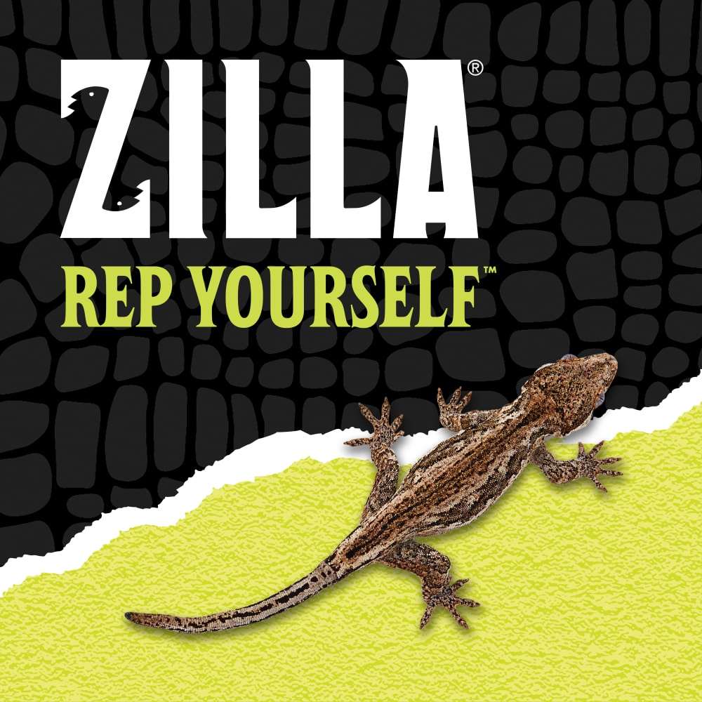 zilla-lifestyle20-brandingx