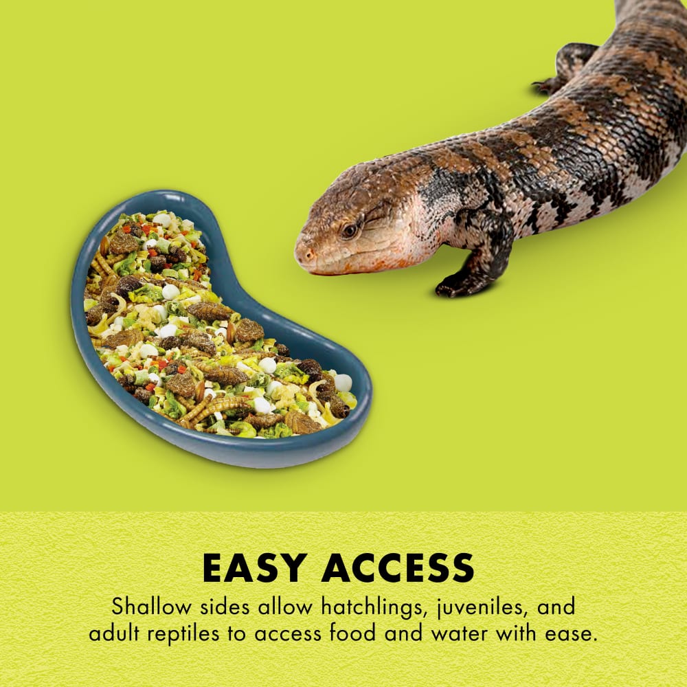 Easy access-Shallow sides allow hatchlings, juveniles & adult reptiles access food & water