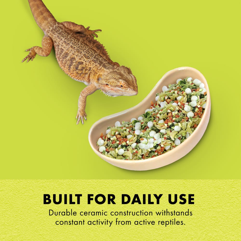 Built for Daily use-Durable ceramic construction withstands activity from active reptiles