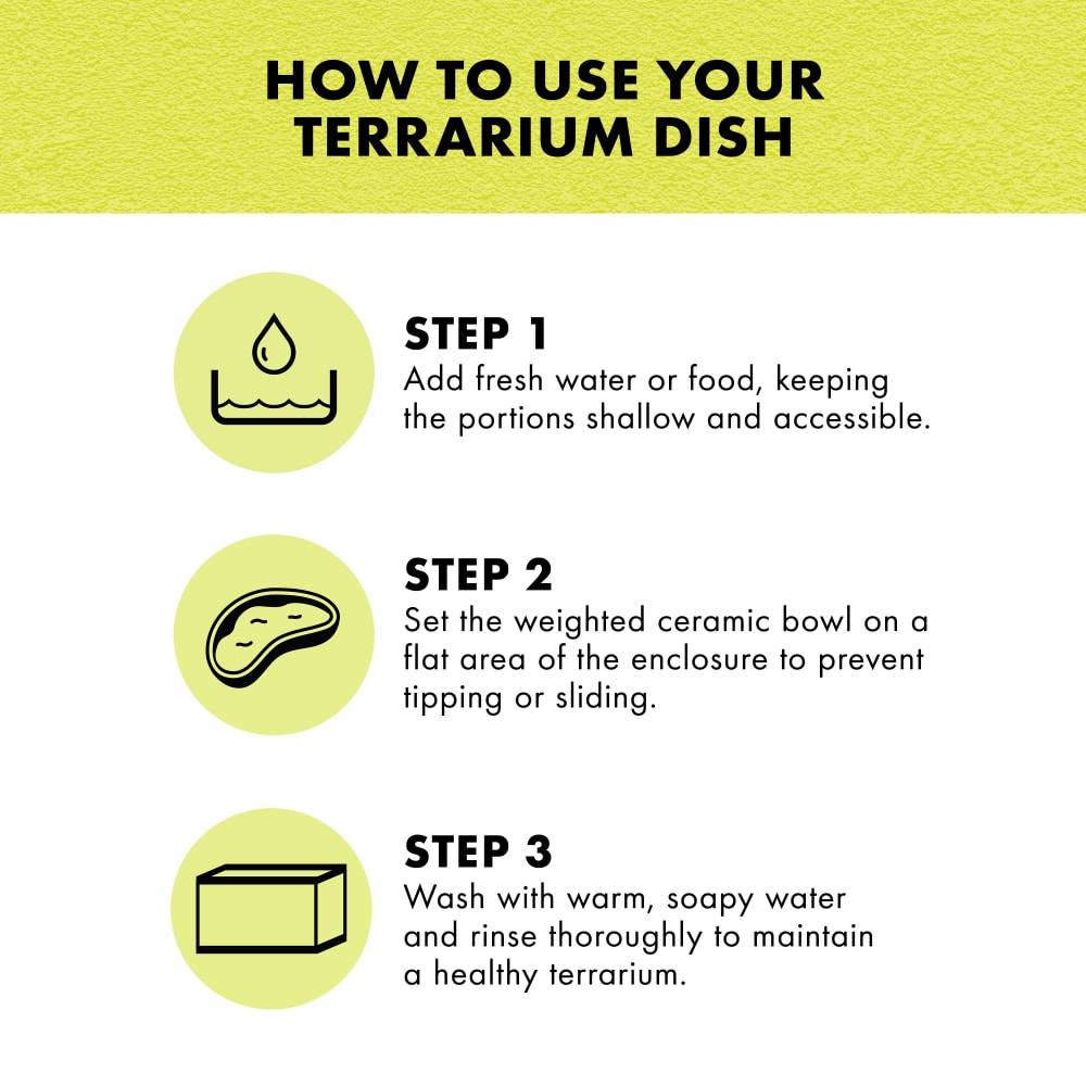 How to use: Add fresh water; Place bowl on flat area; wash with warm water