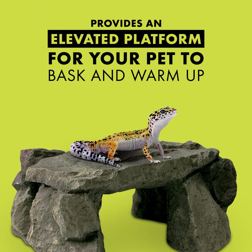 Provides an elevated platform for your pet to bask and warm up