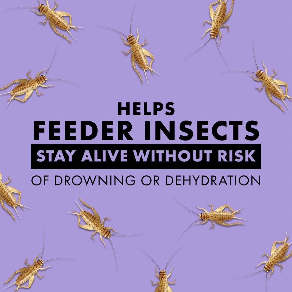 Helps feeder insects stay alive without risk of drowning or dehydration