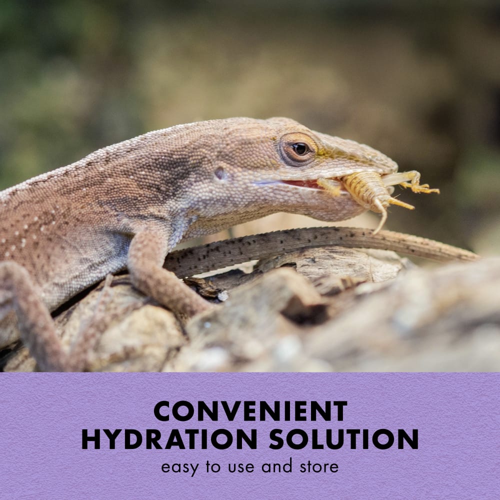 Convenient hydration solution easy to use and store