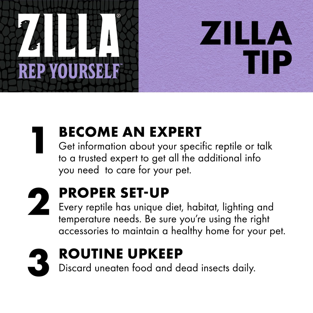 Become expert set up properly routine upkeep