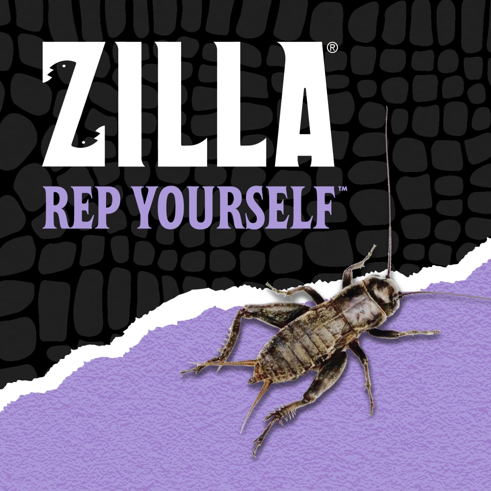Zilla rep yourself black textured background with cricket