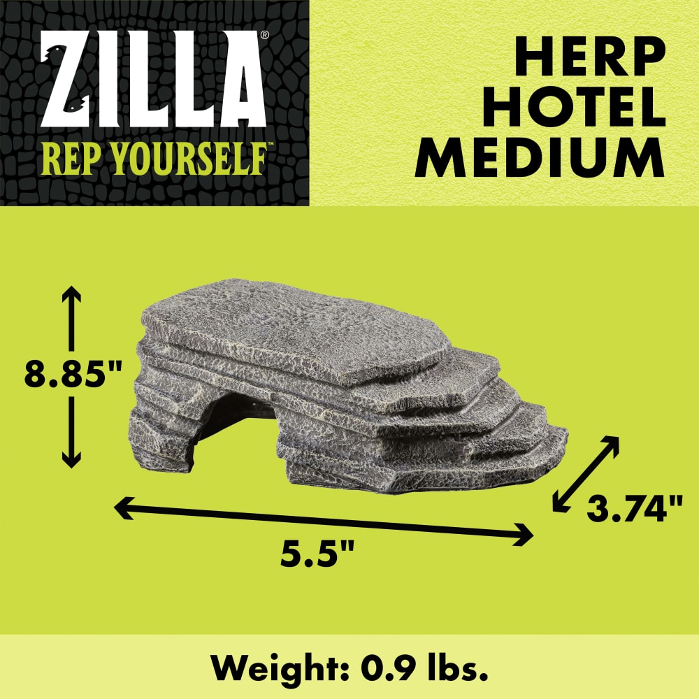 Herp Hotel Medium dimensions