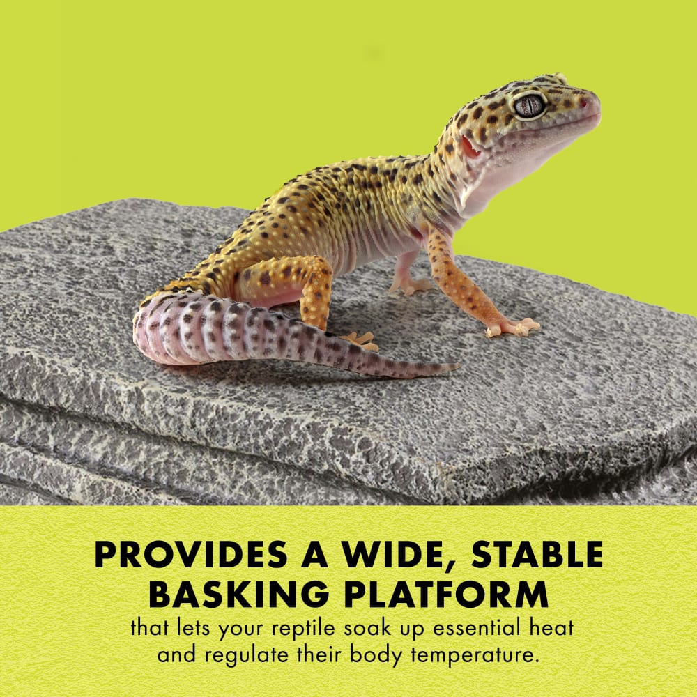 Provides a wide, stable basking platform