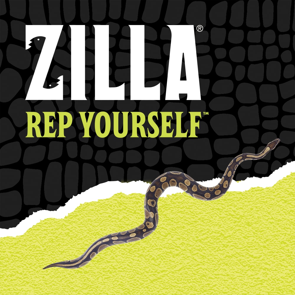 Zilla rep yourself with a lizard over black scale background ripped halfway into yellow