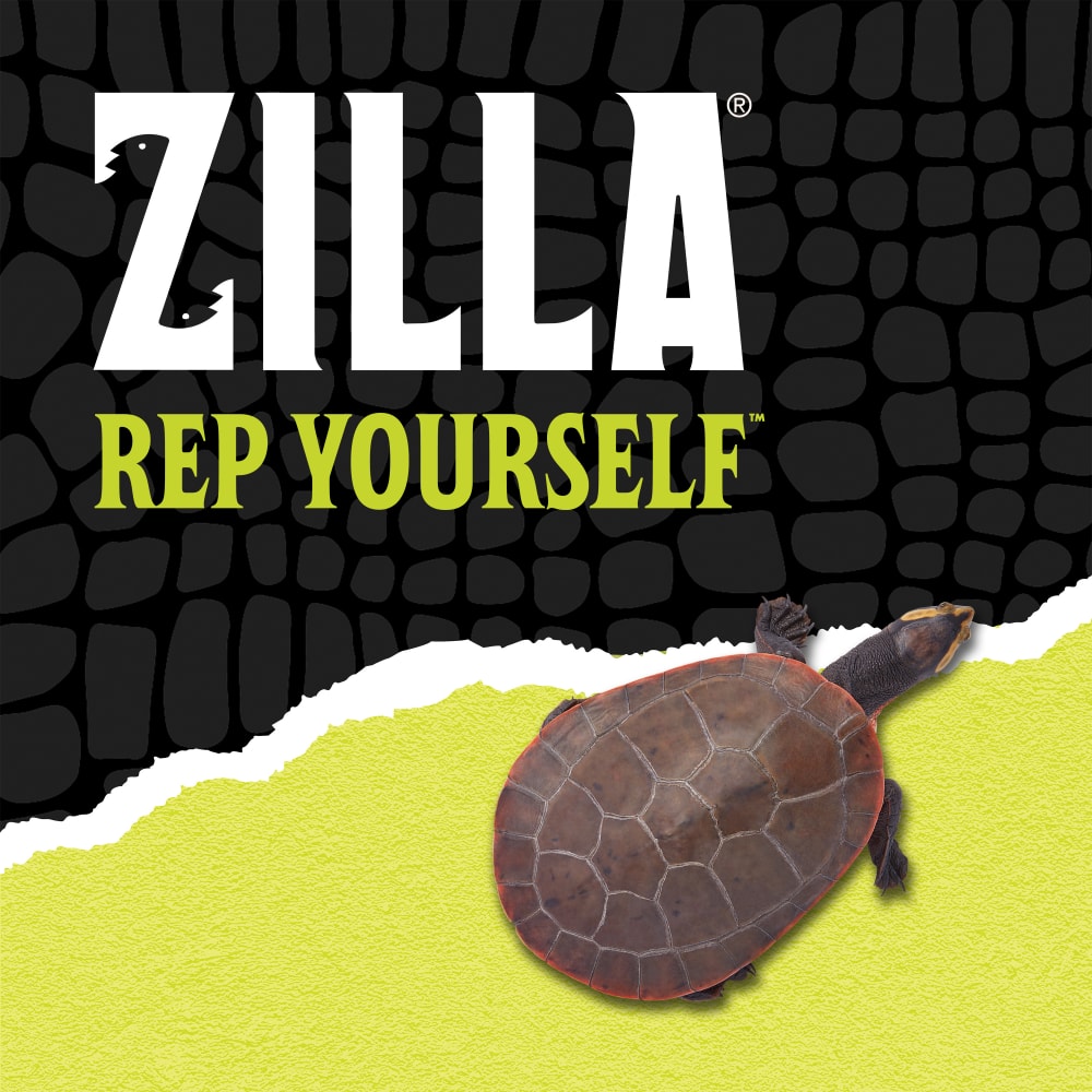 Zilla rep yourself with a turtle over black scale background ripped halfway into yellow