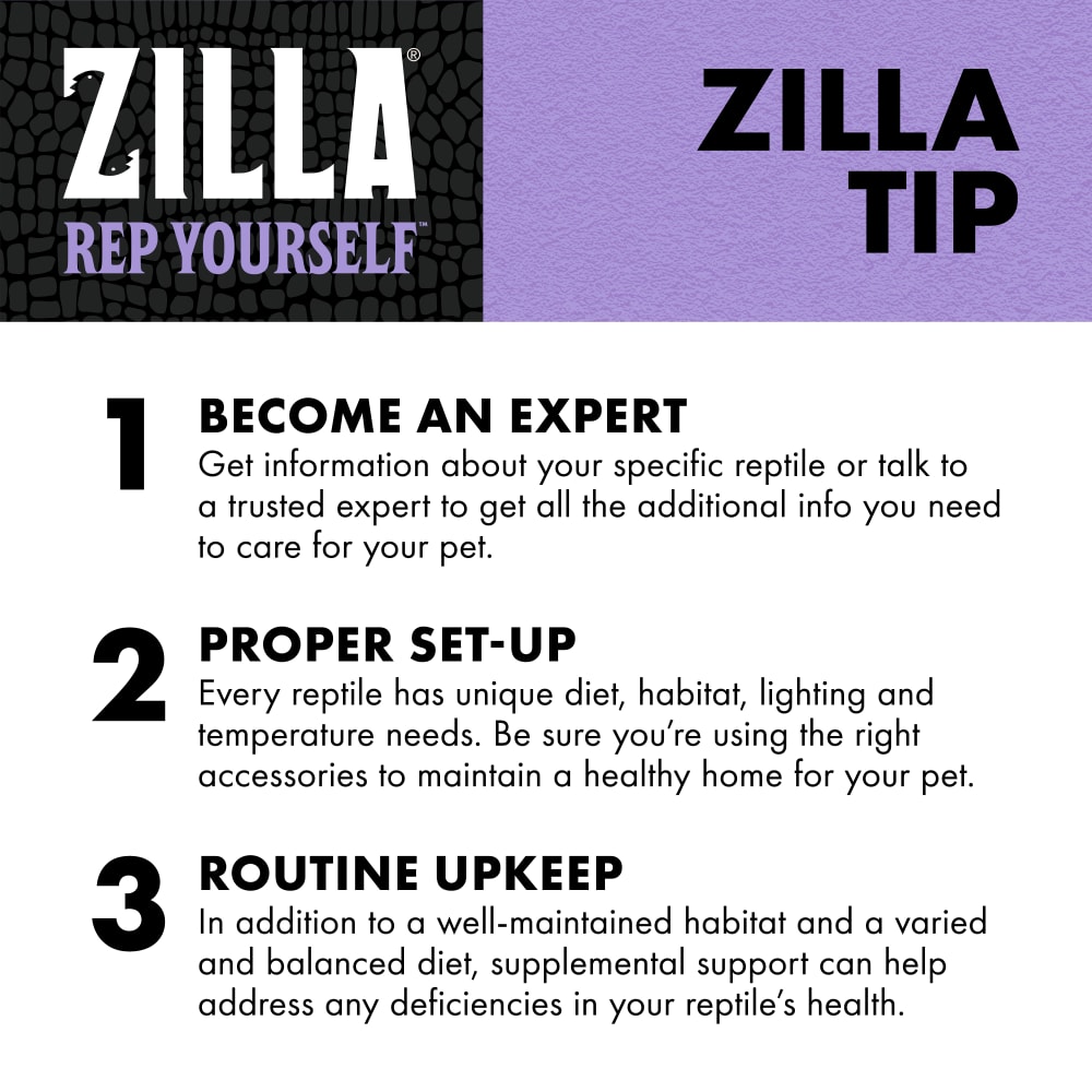 zilla-infographic03-benefitvitaminspray