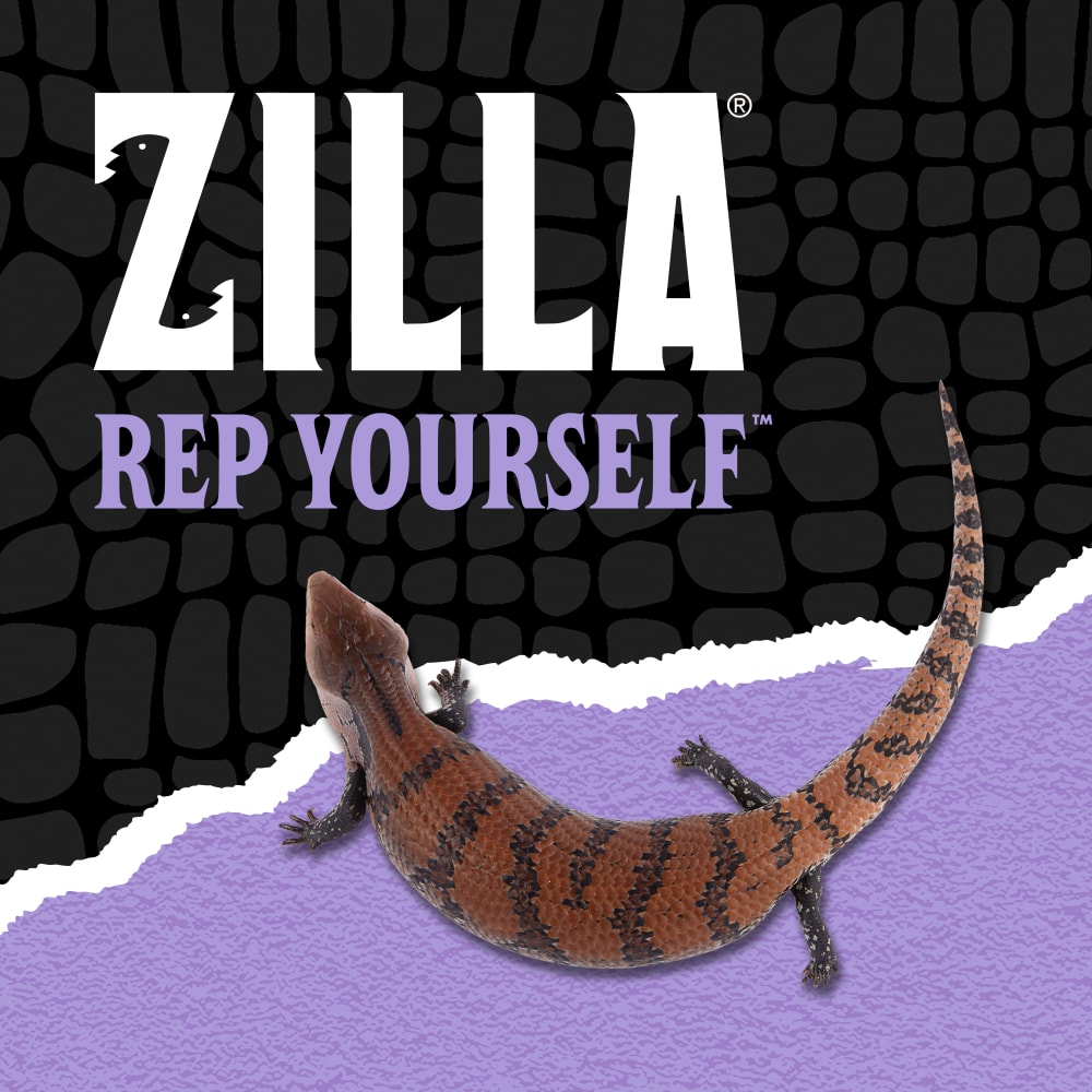 zilla-lifestyle20-brandingaa