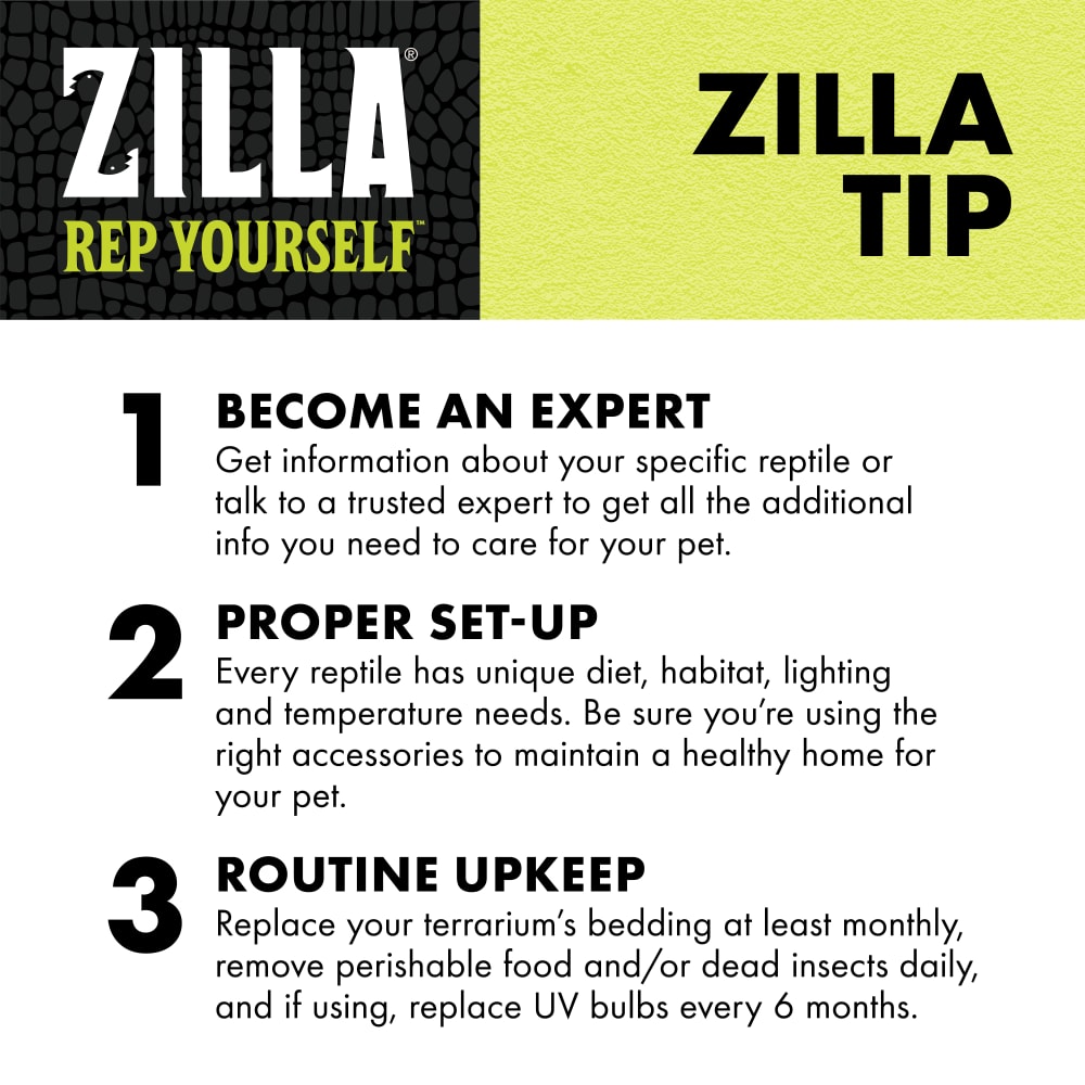zilla-infographic10-educationcocohusk