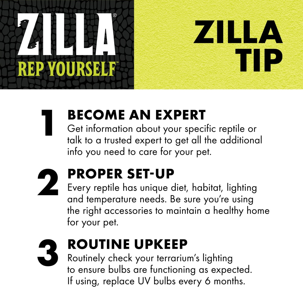 Become an expert; Proper set-up; Routine upkeep