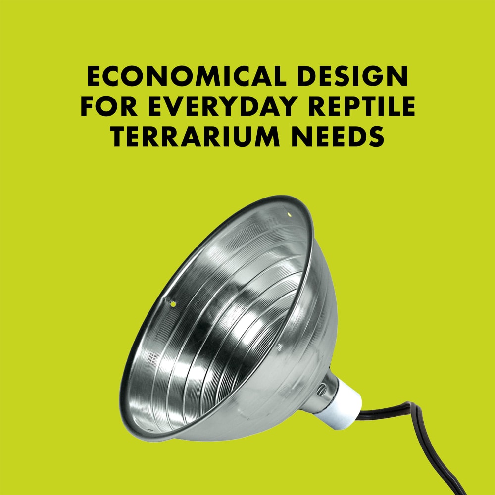 Economical design for everyday reptile terrarium needs