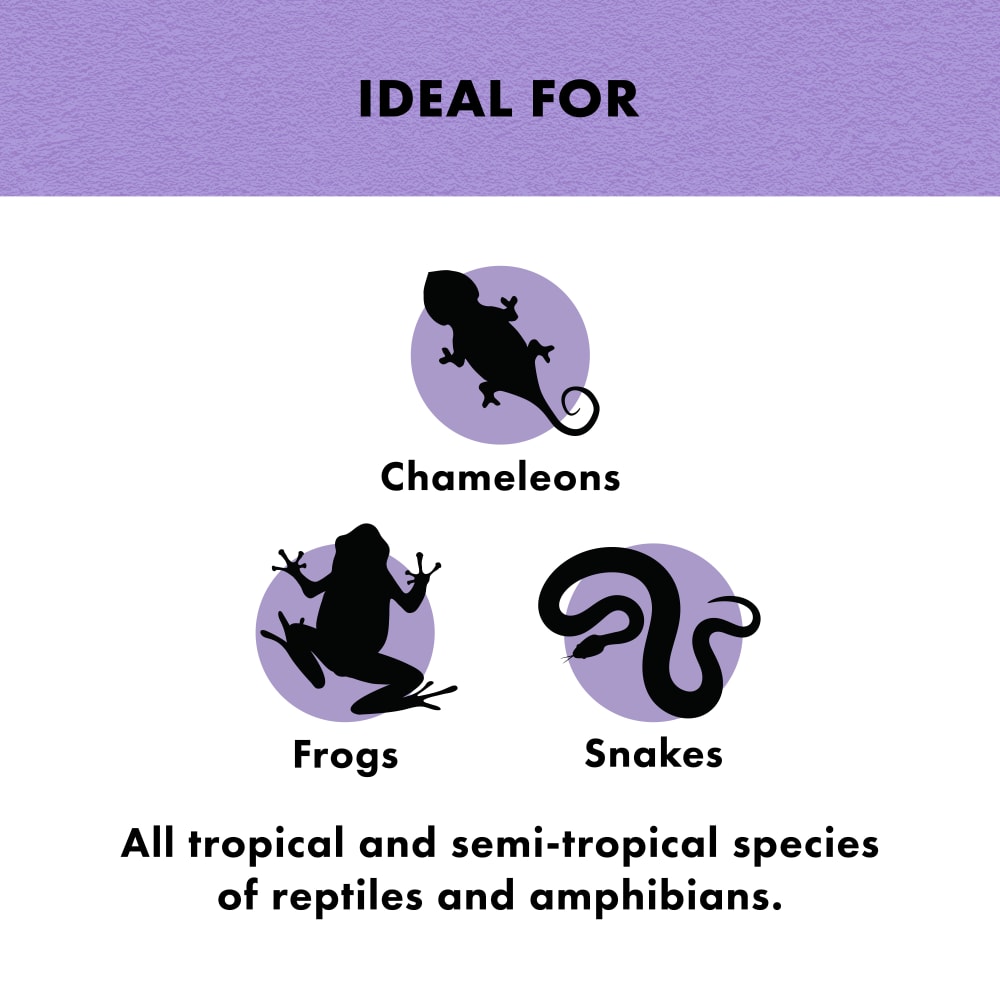 zilla-infographic03-benefittropicalmist