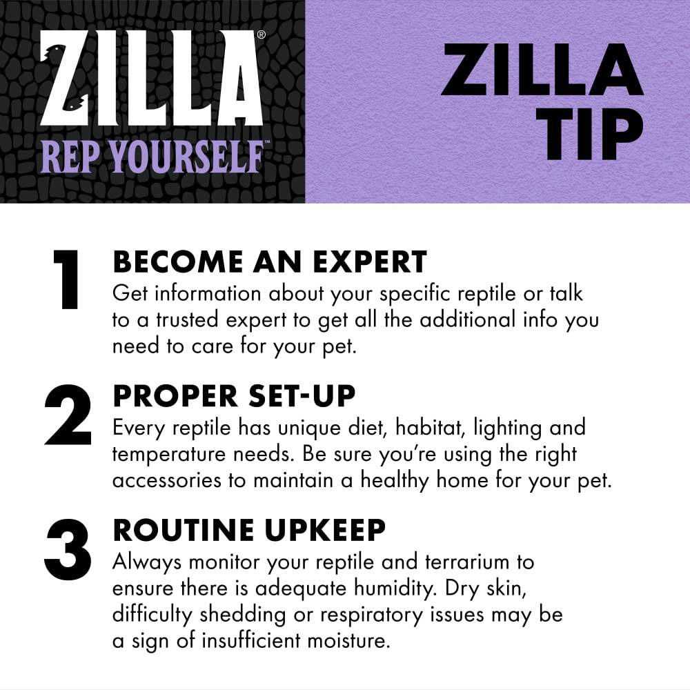 zilla-infographic10-educationtropicalmist