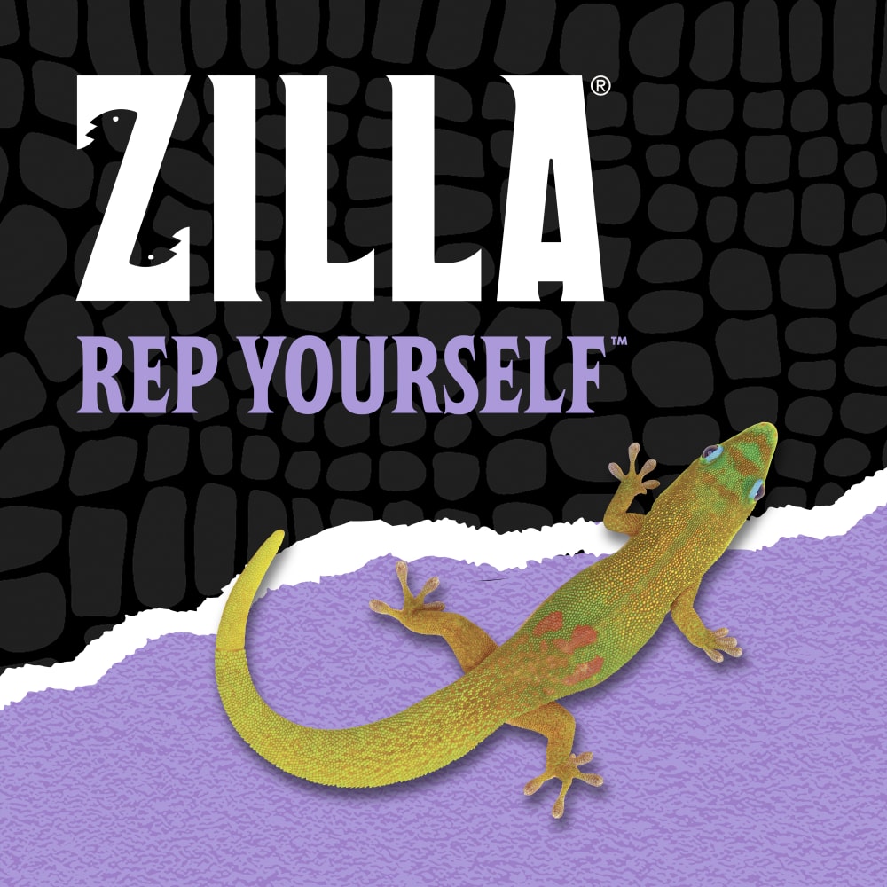 zilla-lifestyle20-brandingz