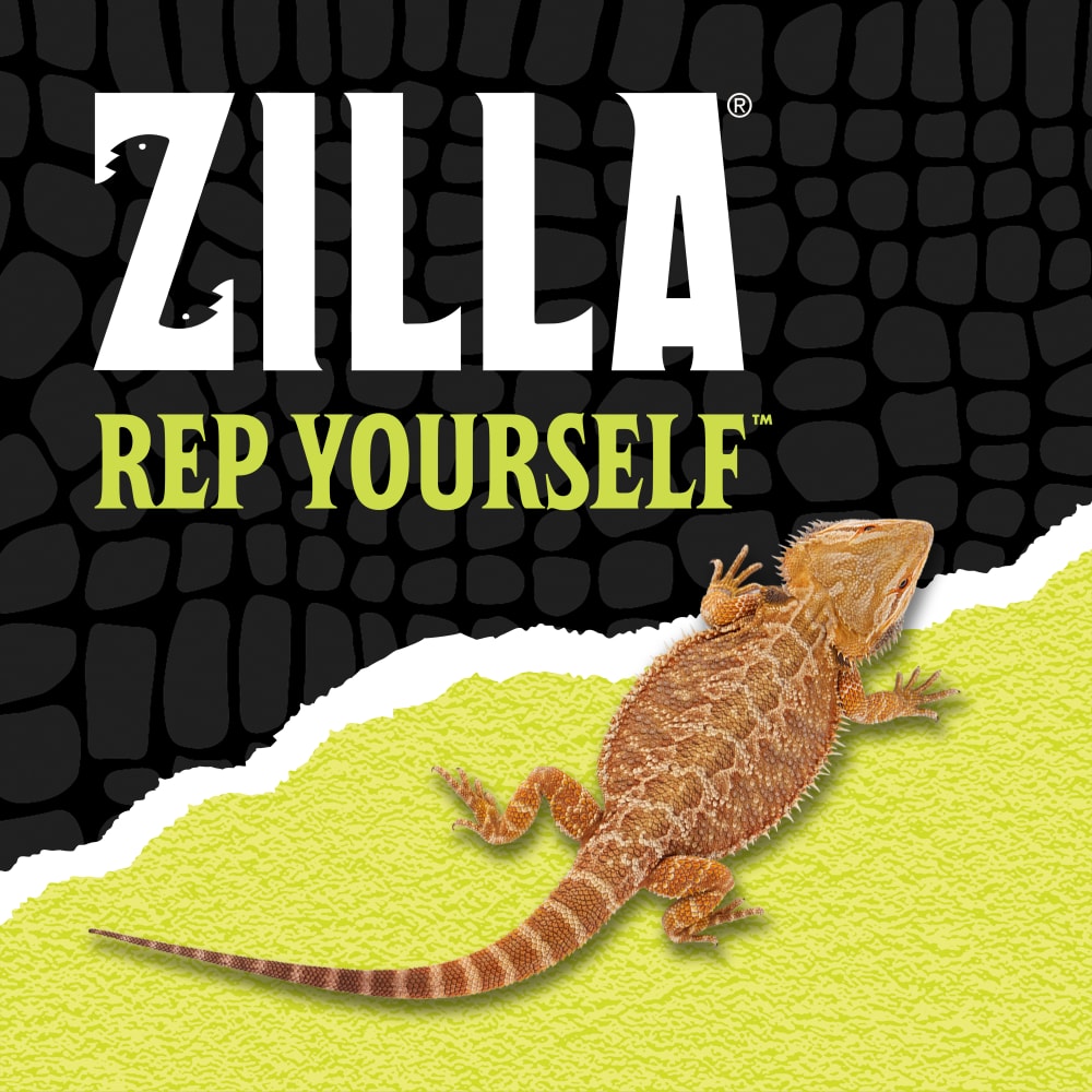 Zilla Rep Yourself with a bearded dragon over black scale background ripped halfway into lime green
