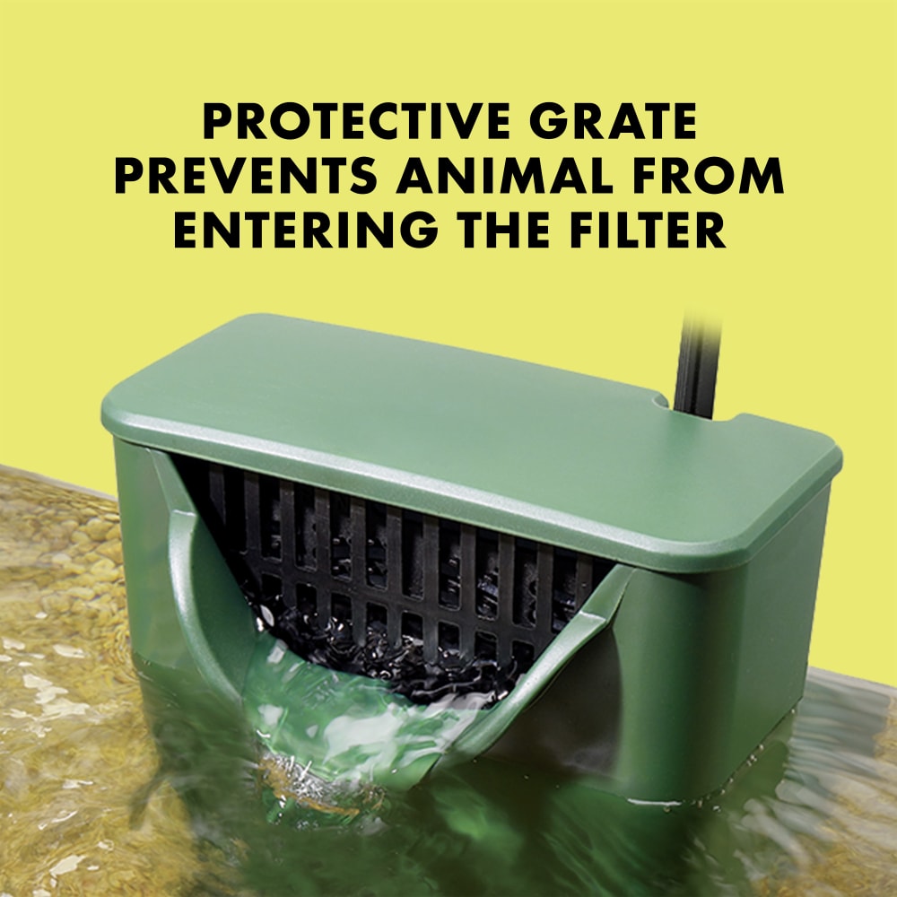 Protective grate prevents animal from entering the filter