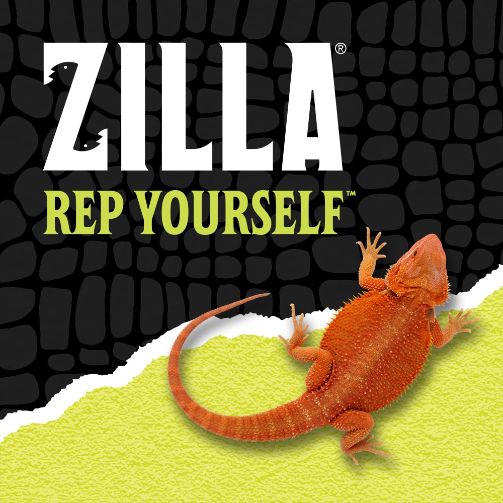 Zilla Rep Yourself with a bearded dragon over black scale background ripped halfway into green