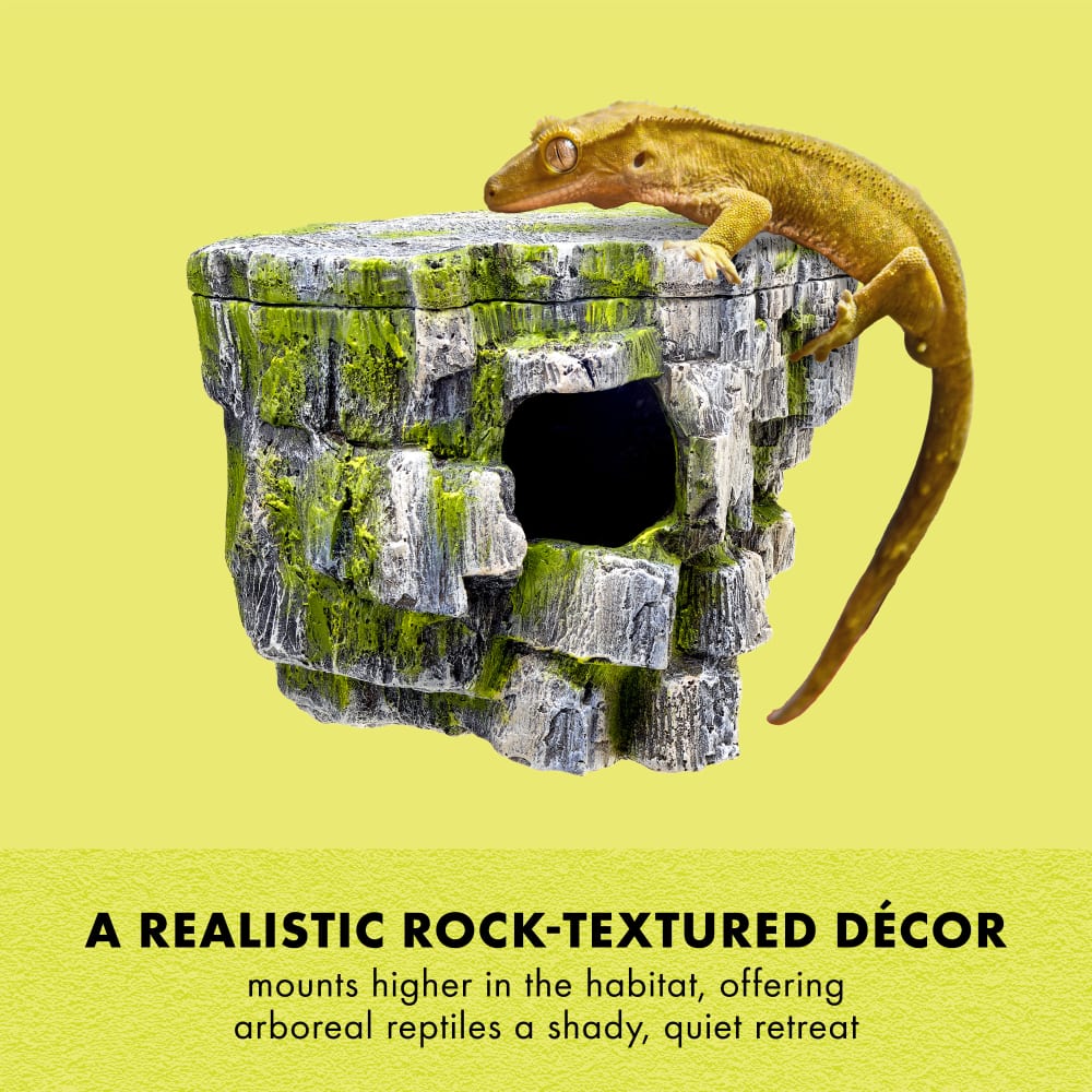 Naturalistic feeding ledge