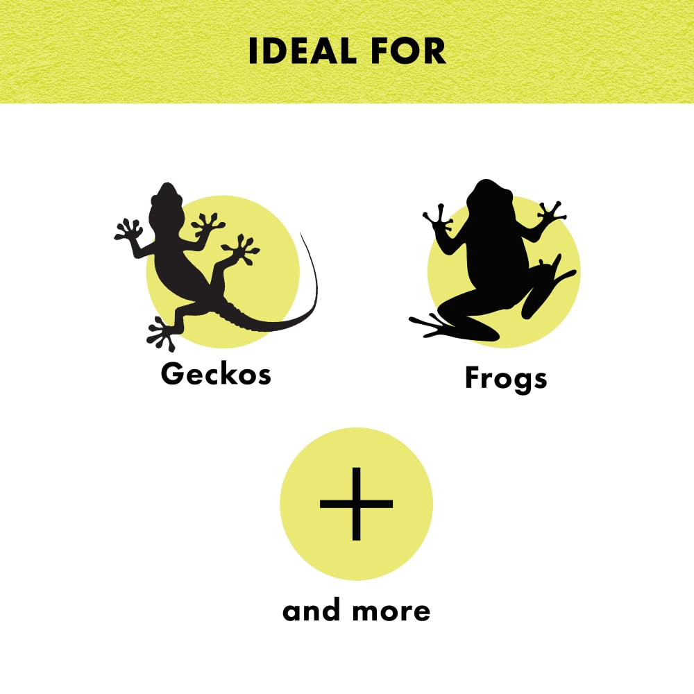Ideal for Geckos, Frogs & more