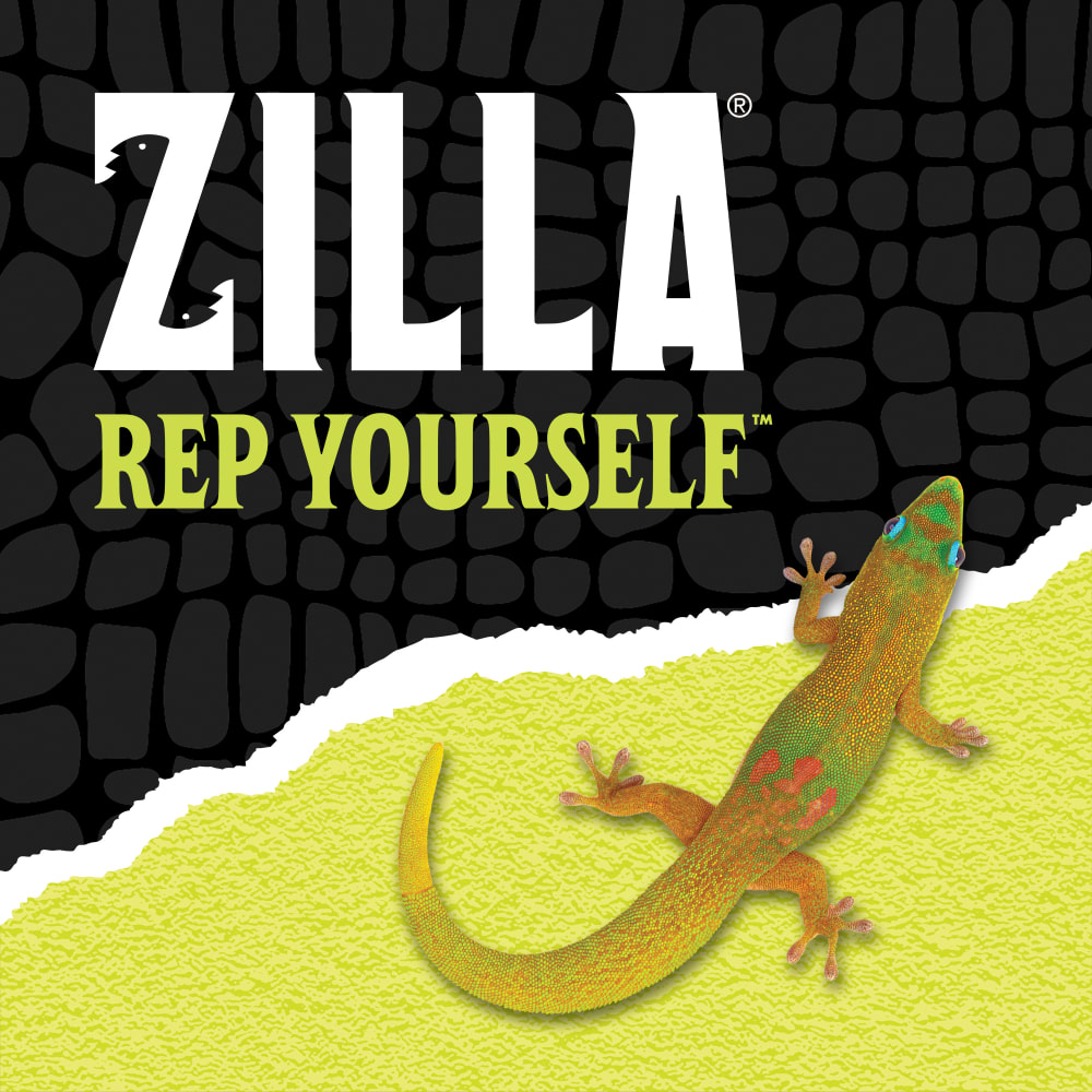 Zilla rep yourself with a yellow lizard with black scale background ripped halfway into yellow