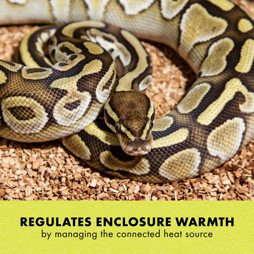 Regulates enclosure warmth by managing heat source