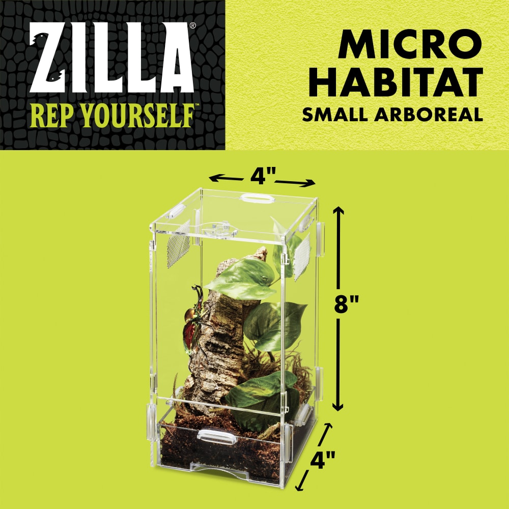 Micro habitat small arboreal