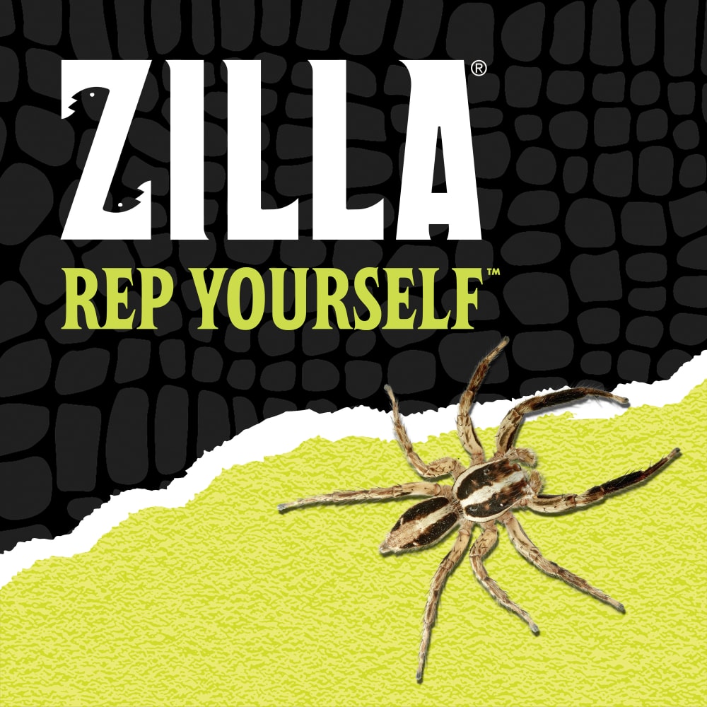 Zilla rep yourself spider