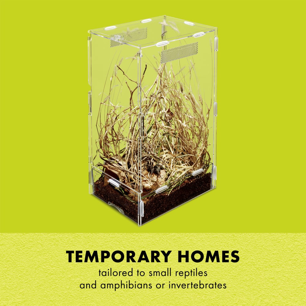 Temporary homes tailored to small reptiles and amphibians