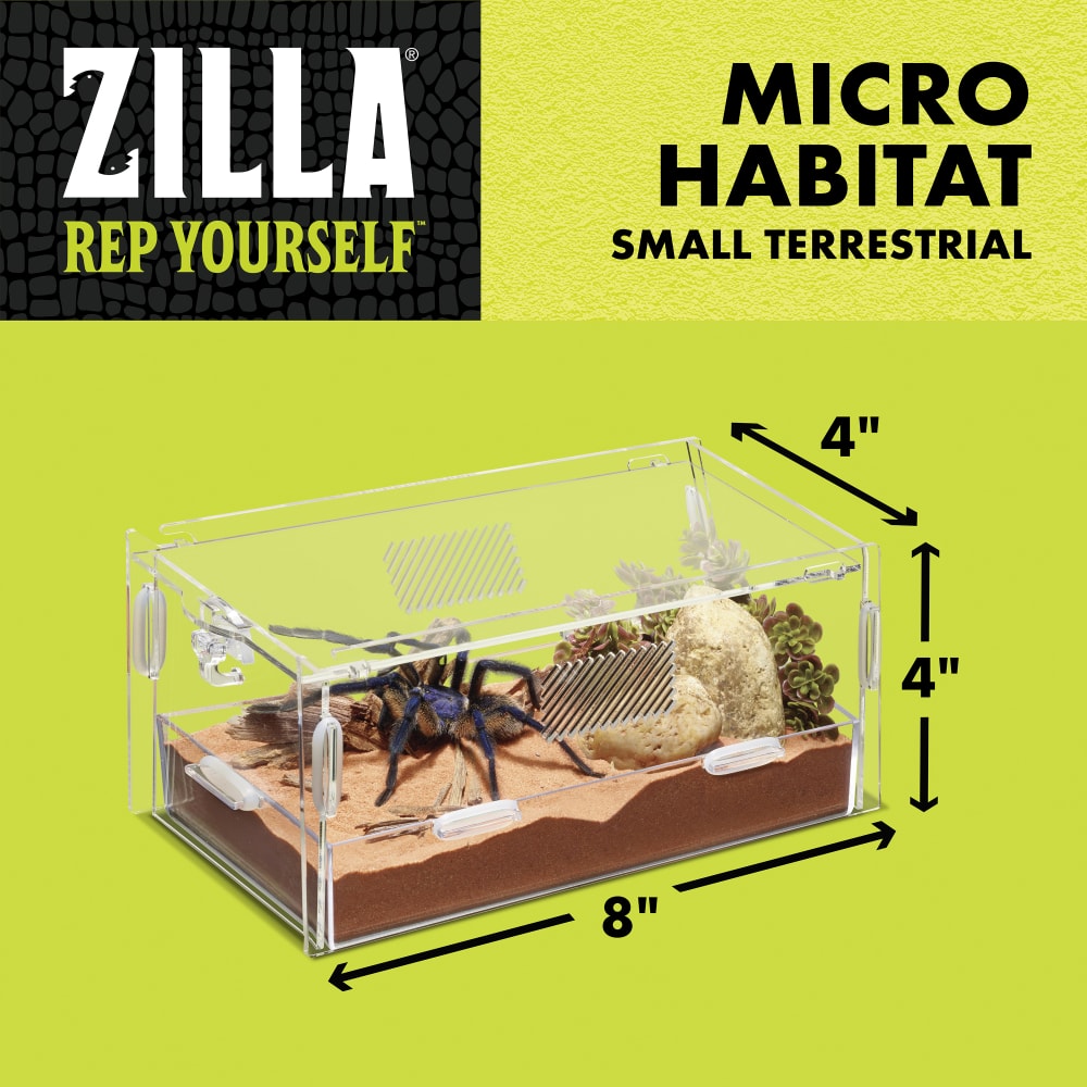 Micro habitat small terrestrial