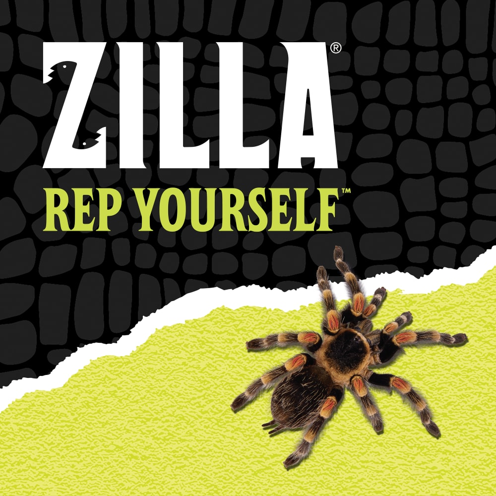 Zilla rep yourself tarantula