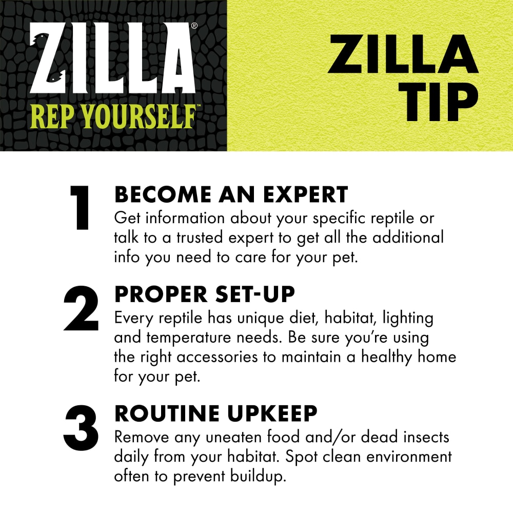 Get information about your specific reptile or talk to a trusted expert
