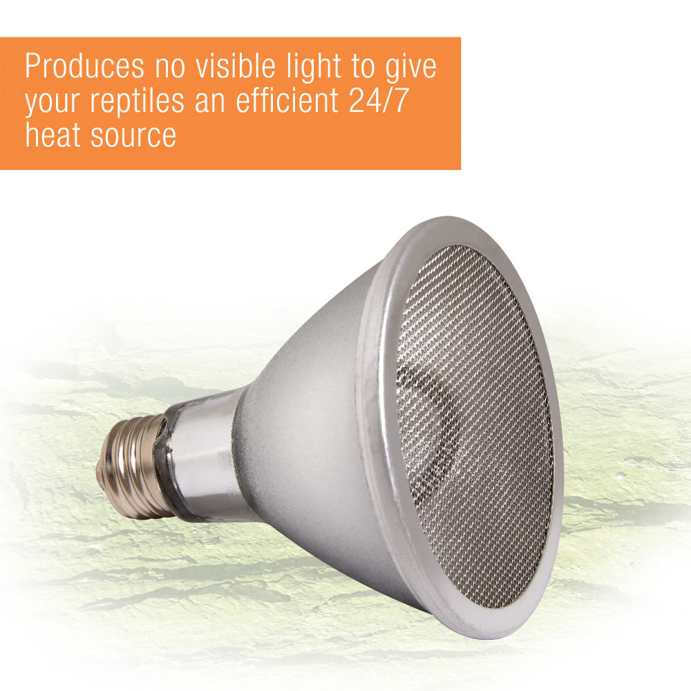 zilla-heat-projector-image5