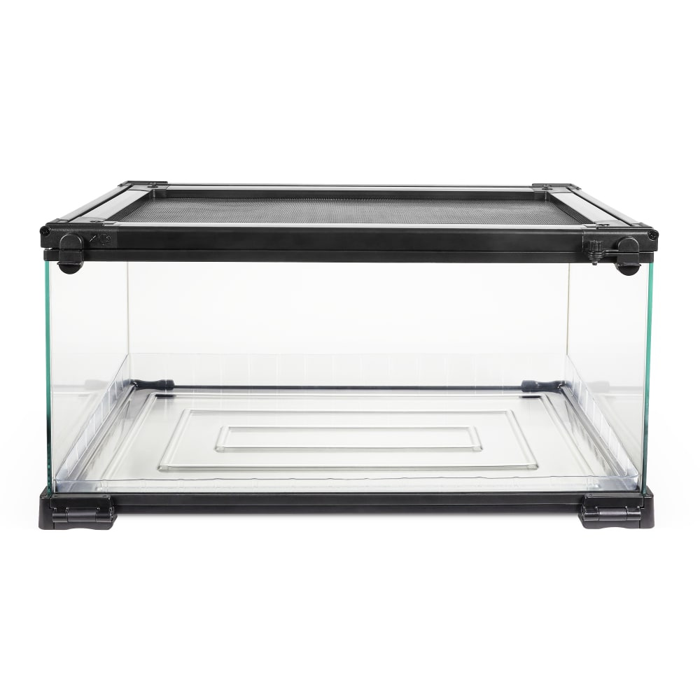 sapm100547618-front01