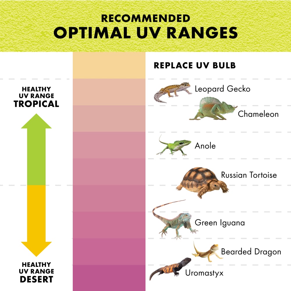 zilla-infographic05-uvchart