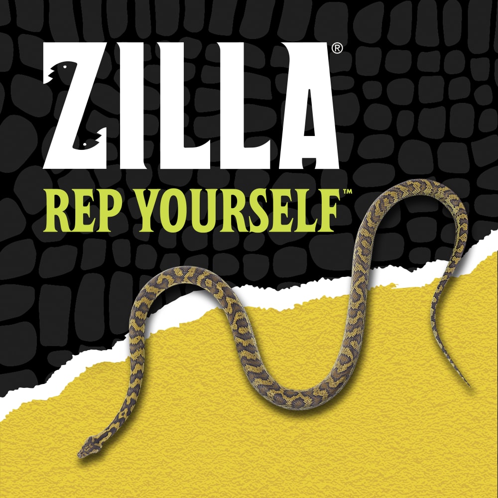 zilla-lifestyle20-brandingb