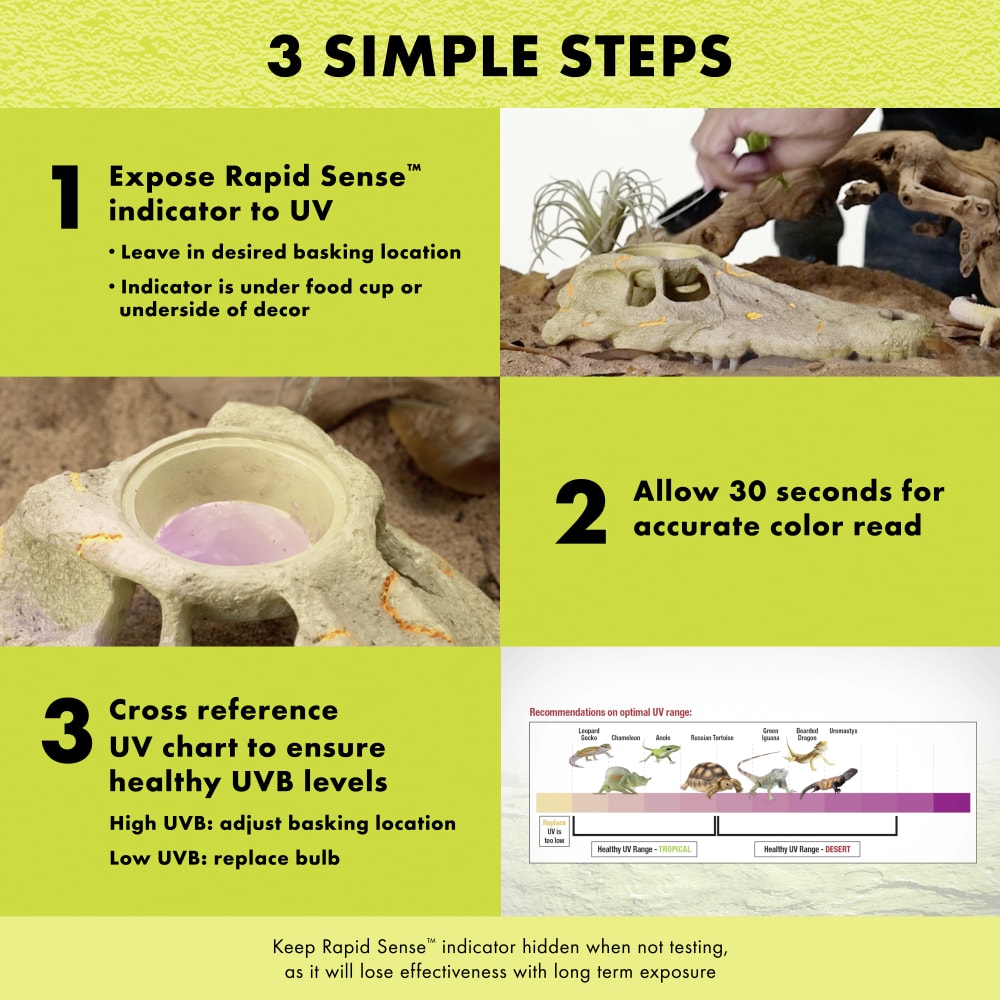 decor-infographic06-instructionslarge