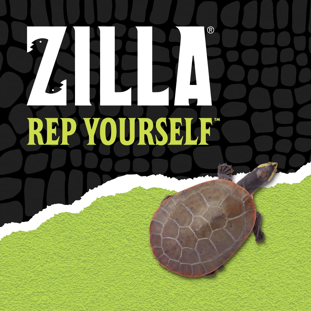 zilla-lifestyle20-brandinge