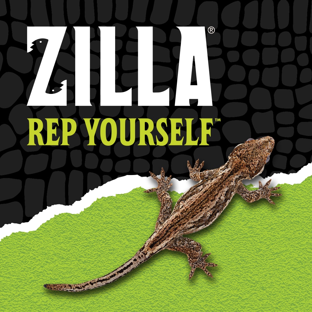 zilla-lifestyle20-brandinga