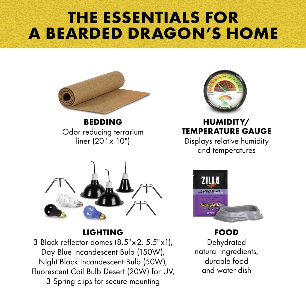 sapm100550321-infographic03