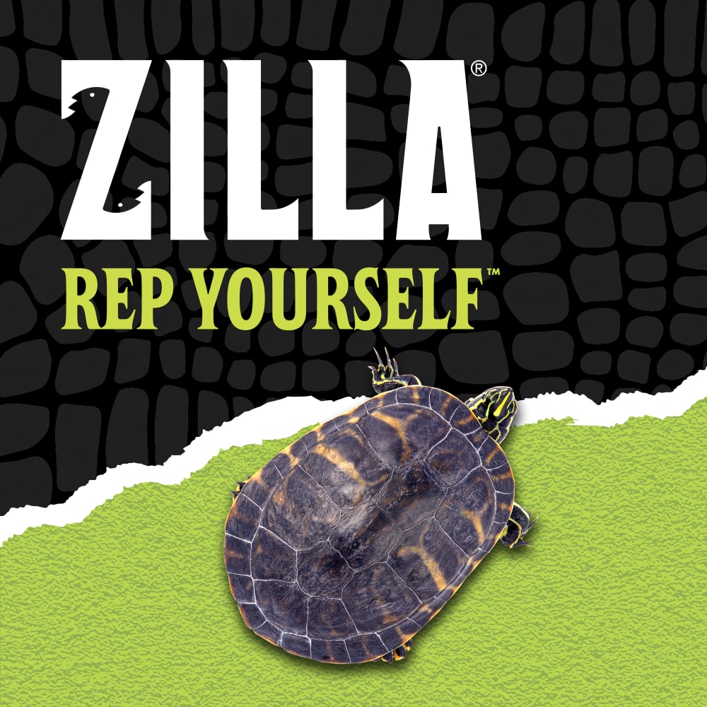 zilla-lifestyle20-brandingh