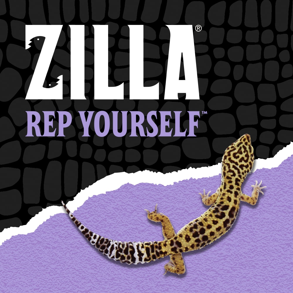 zilla-lifestyle20-brandingv