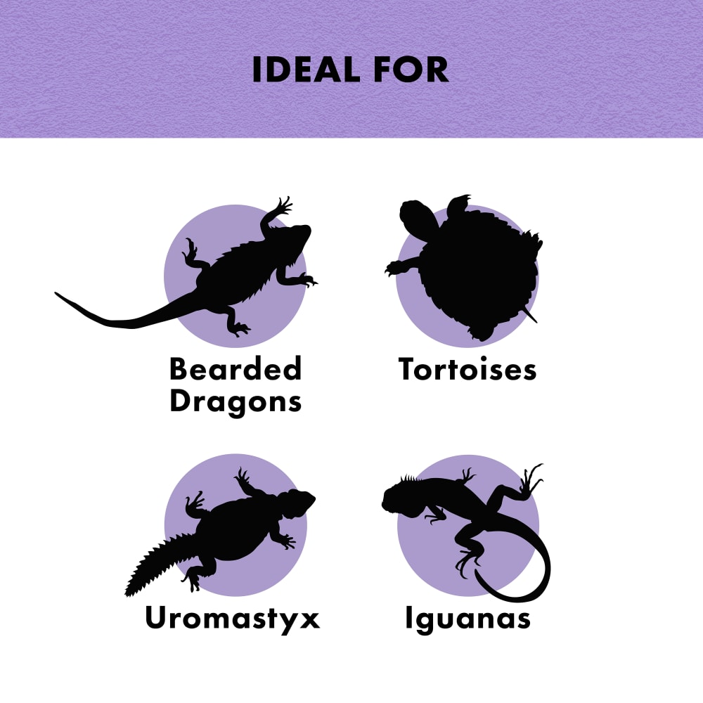 Herbivore medley is ideal for bearded dragons, tortoises, uromastyx, iguanas and other herbivores