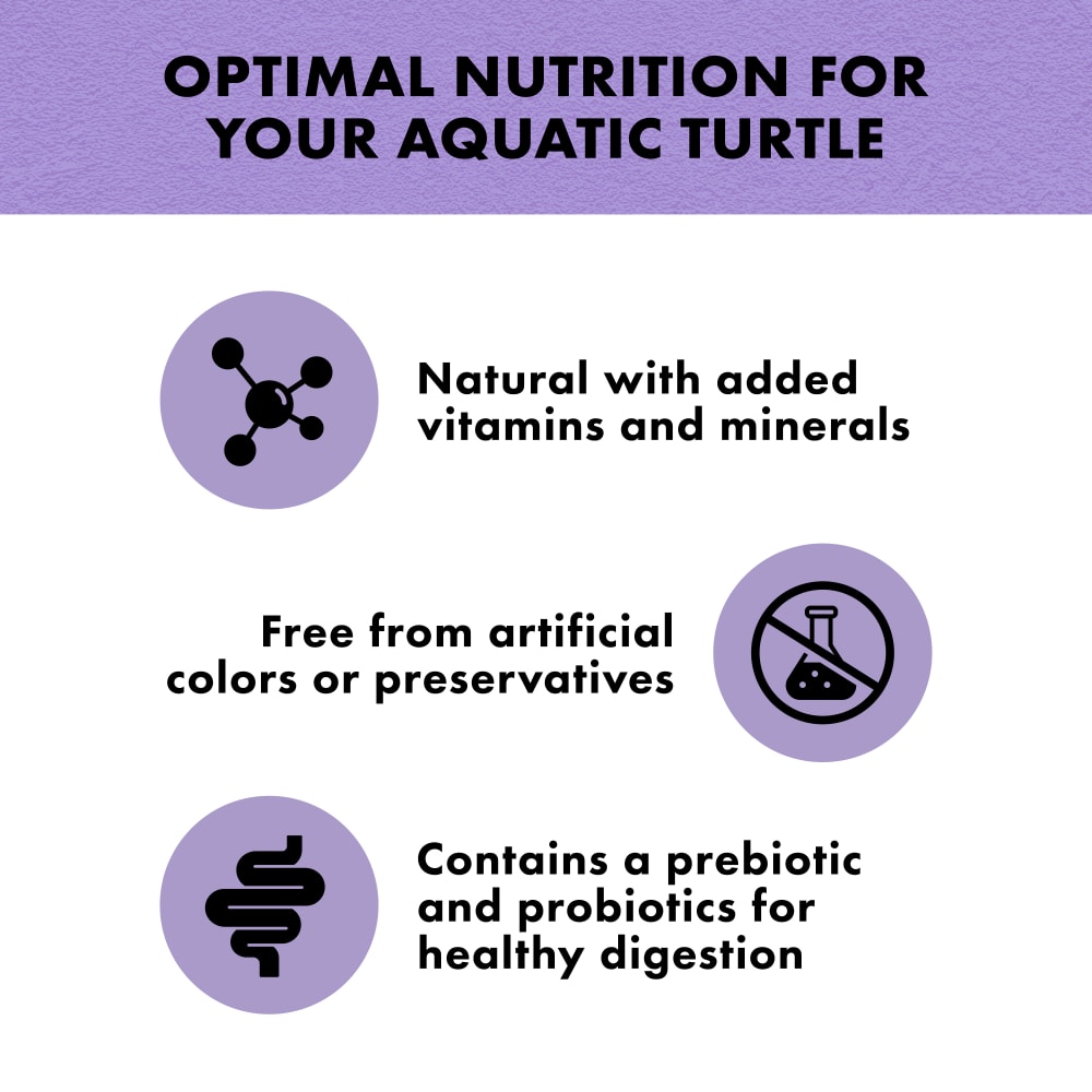 turtlesticks-infographic02