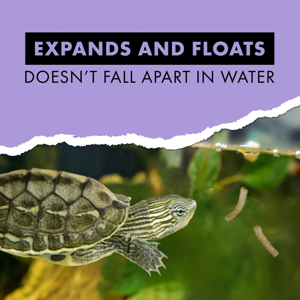 turtlesticks-infographic03