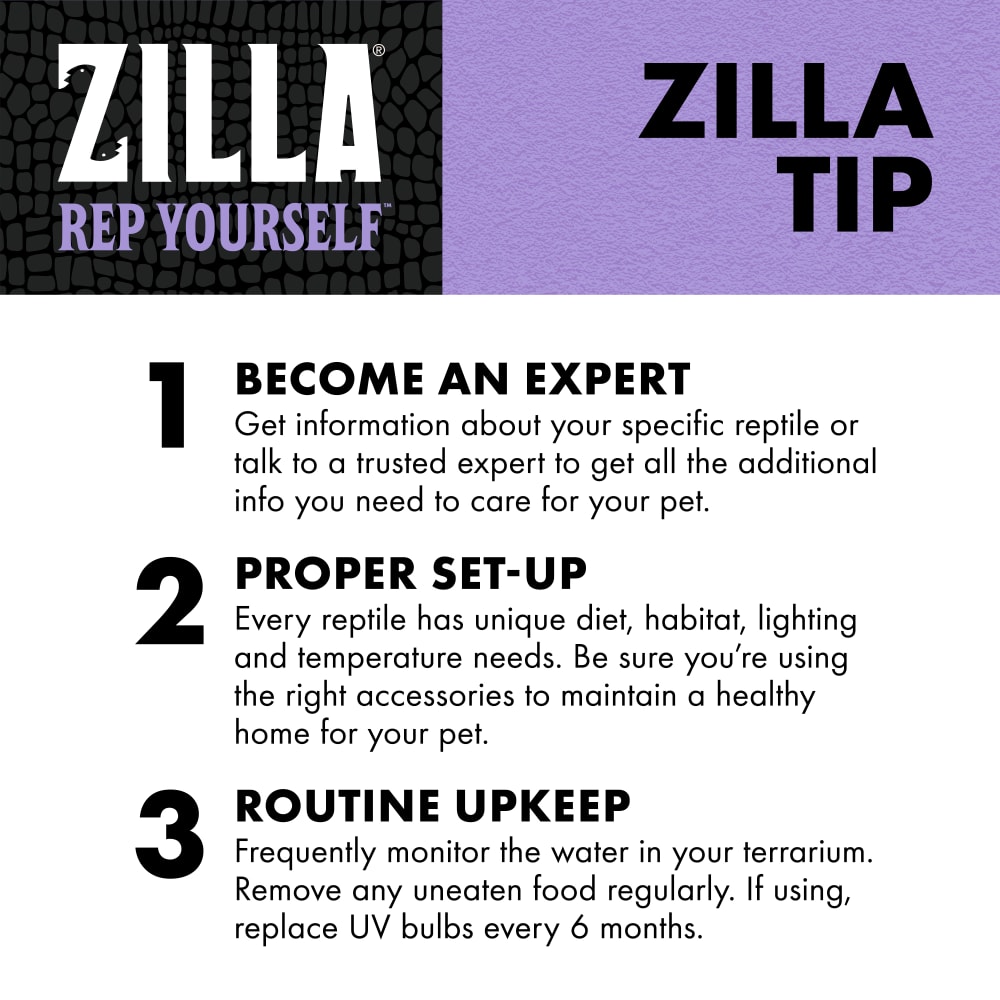 zilla-infographic10-educationturtlesticks